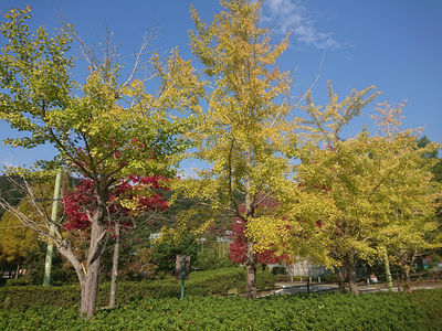 Nippoomiko Large Park