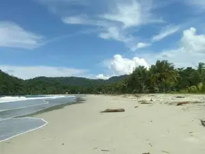Wisata Manggrove