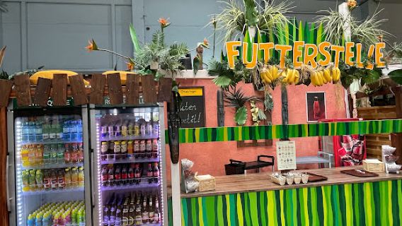 Jungle Indoor Playland