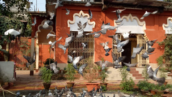 Bagdogra