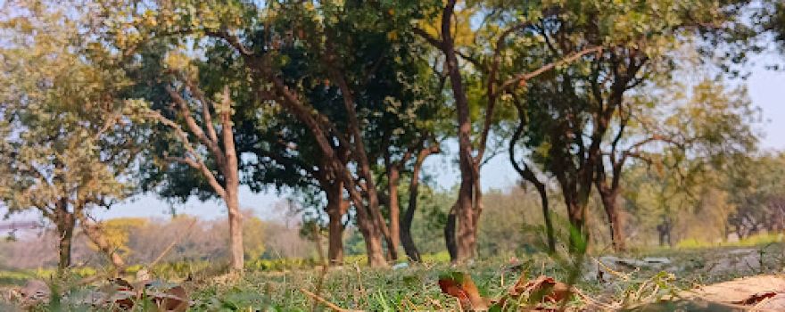 Fatehpur maphi playground