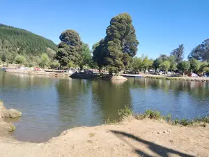 Cancha Piscina