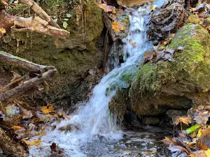 Big Springs