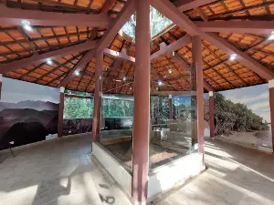 Bosque Municipal Torazo Okamoto