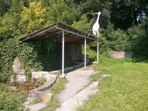 Prachka