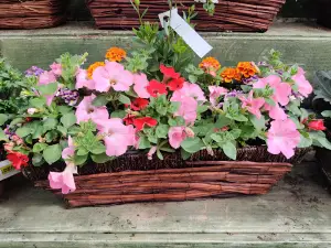 Dunne's Garden Centre