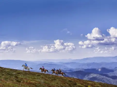 Watsons Mountain Country Trail Rides