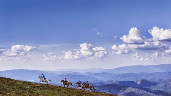 Watsons Mountain Country Trail Rides