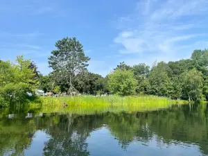 Opechee Park
