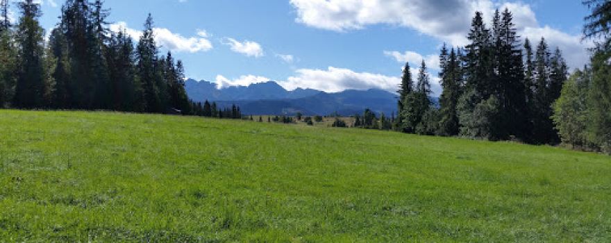 Polana Chowancowa
