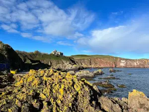 St Abbs Harbour