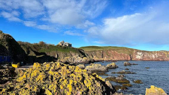 St Abbs Harbour.