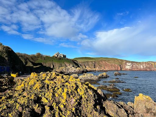 St Abbs Harbour.