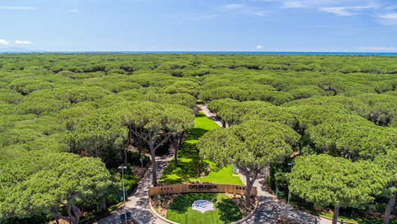 Cieloverde Camping Village Marina di Grosseto (GR)