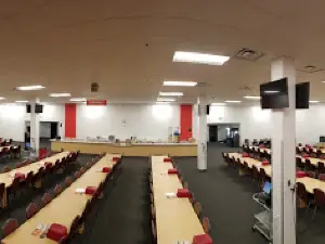 Big Valley Bingo
