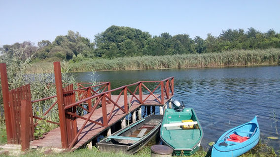 Opcina Draz