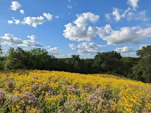 Prairie Creek Recreation Area