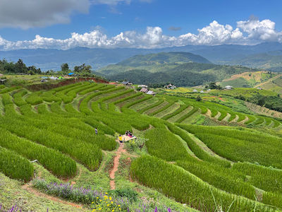 Ban Rabiang Na Pa Bong Piang