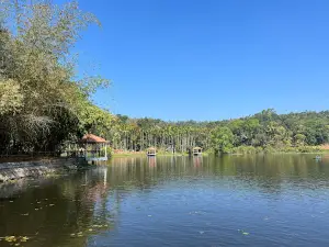 Wayanad Adventure Camp
