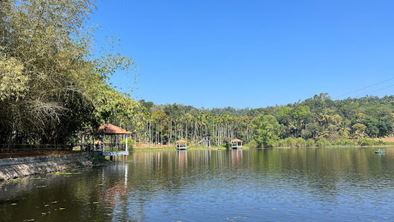 Wayanad Adventure Camp