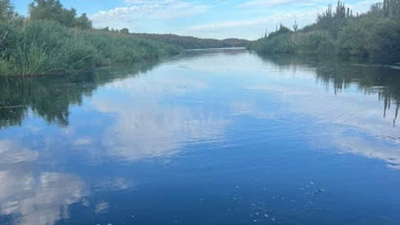 Mauritanie Perspectives