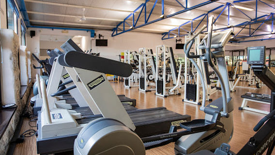 Palestra Four You