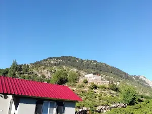 Şehit Piyade Komando Onbaşı Ali Yanbaz Hatıra Ormanı