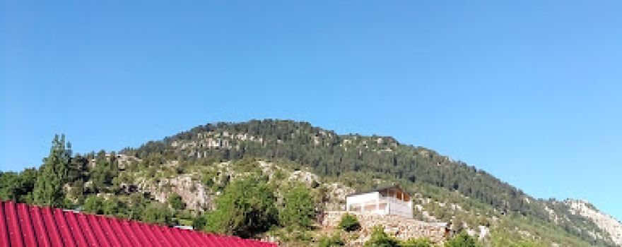 Şehit Piyade Komando Onbaşı Ali Yanbaz Hatıra Ormanı