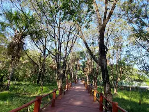 Parque Ambiental de Anapurus - Isaac Francisco Monteles