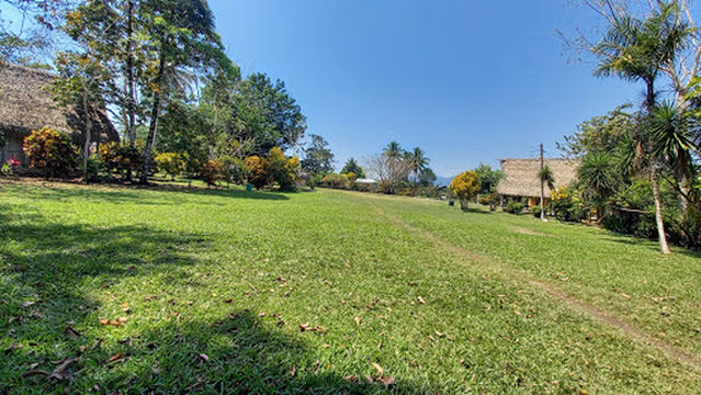 The Great Jaguar Tikal