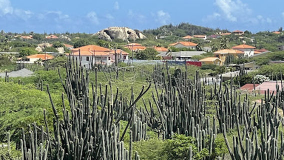 Oranjestad