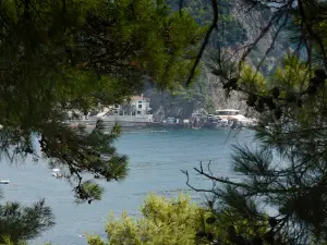 Petrovac Viewpoint