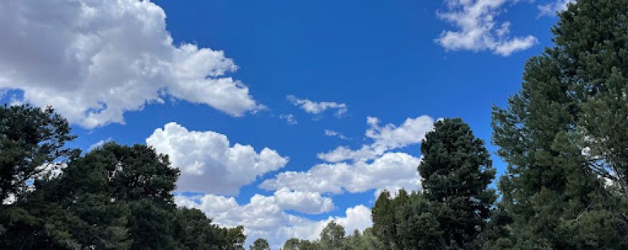 Bob Scott Campground