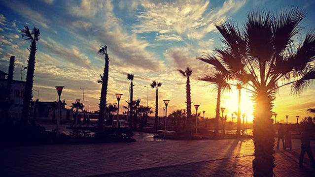 Centre Sara Wallness