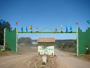 Parque Da Pinhão