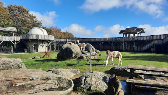 The Wolves of Chabrières