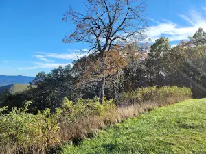 Rock Castle Gorge Overlook