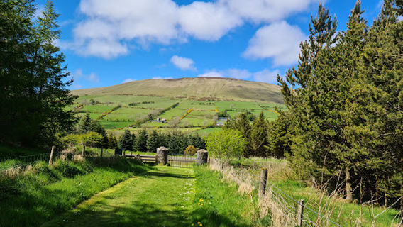 Брин Ок Вуд