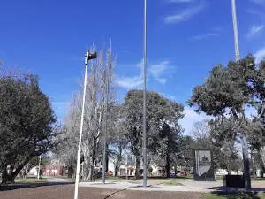 Plaza on August 5