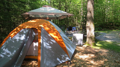 Fransted Family Campground & RV Park