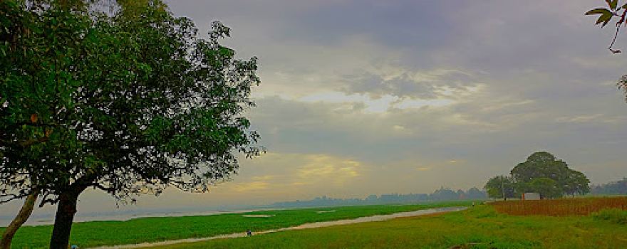 Cricket Playground