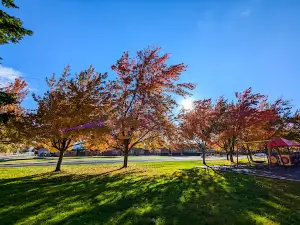 Fichtner-Mainwaring Park