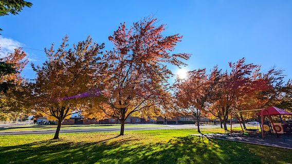 Medford