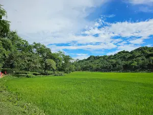 Lala Khal Viewpoint
