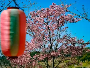 Tadamoto park