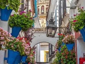 Calleja de las Flores