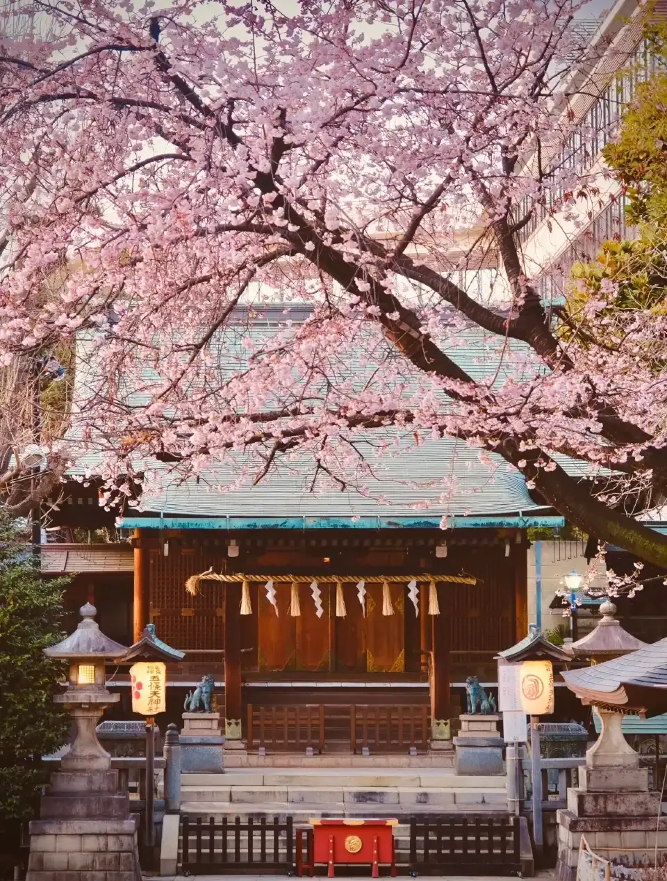 4_上野公園