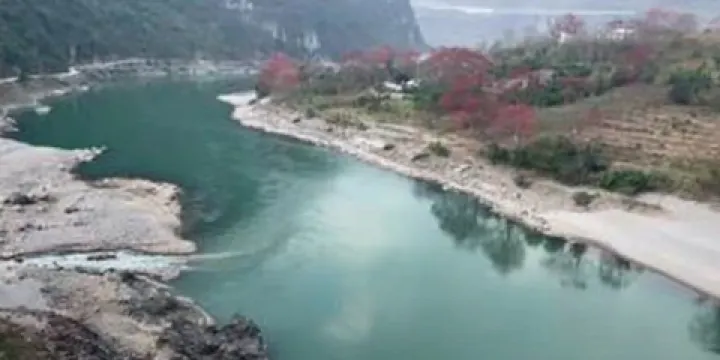 雲南省怒江州上江鎮七顆樹