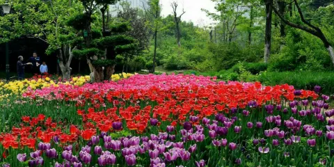 湘潭植物園