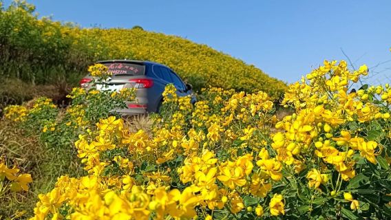 Water Source Mountain Flower Sea